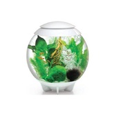 Аквариум HALO 30 LED белый ps0601039 Аквариумы в POOLSONIA. Тел: +38 (093) 667 00 03. Доставка, гарантия, лучшие цены!, фото1