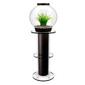Подставка для аквариума черный ps0602014 Аксессуары и декор в POOLSONIA. Тел: +38 (093) 667 00 03. Доставка, гарантия, лучшие цены!, фото1