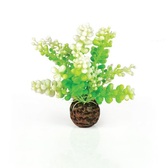 Зеленые водоросли (ps0602106) Аксессуары и декор в POOLSONIA. Тел: +38 (093) 667 00 03. Доставка, гарантия, лучшие цены!, фото1