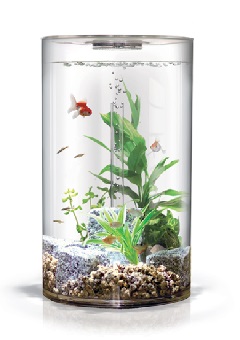 Купить Аквариум TUBE 30 LED белый (ps0601008), Аквариумы в Poolsonia. Доставка, гарантия. Украина, Киев, Харьков, Днепр, Одесса, Запорожье, Львов. Аквариум TUBE 30 LED белый (ps0601008) Аквариумы в POOLSONIA. Тел: +38 (093) 667 00 03. Доставка, гарантия, лучшие цены!