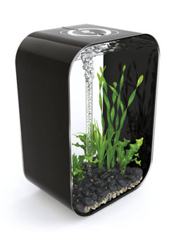 Купить Аквариум LIFE 60 MCR черный ps0601013, Аквариумы в Poolsonia. Доставка, гарантия. Украина, Киев, Харьков, Днепр, Одесса, Запорожье, Львов. Аквариум LIFE 60 MCR черный ps0601013 Аквариумы в POOLSONIA. Тел: +38 (093) 667 00 03. Доставка, гарантия, лучшие цены!