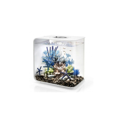 Комплект из 3-х морских звезд синих ps0602071 Аксессуары и декор в POOLSONIA. Тел: +38 (093) 667 00 03. Доставка, гарантия, лучшие цены!