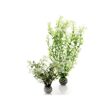 Комплект из 2-х водных зимних цветков ps0602087 Аксессуары и декор в POOLSONIA. Тел: +38 (093) 667 00 03. Доставка, гарантия, лучшие цены!