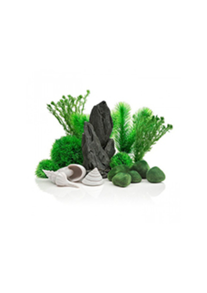 Комплект декора  - 30л зеленый ps0602093 Аксессуары и декор в POOLSONIA. Тел: +38 (093) 667 00 03. Доставка, гарантия, лучшие цены!