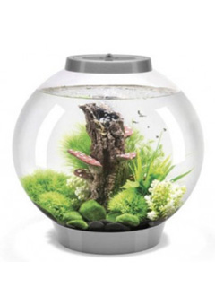 Купить Аквариум CLASSIC 30 LED Thermo черный (ps0601067), Аквариумы в Poolsonia. Доставка, гарантия. Украина, Киев, Харьков, Днепр, Одесса, Запорожье, Львов. Аквариум CLASSIC 30 LED Thermo черный (ps0601067) Аквариумы в POOLSONIA. Тел: +38 (093) 667 00 03. Доставка, гарантия, лучшие цены!