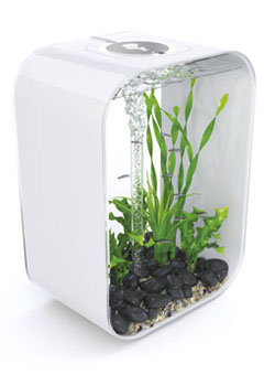 Купить Аквариум LIFE 45 MCR белый ps0601018, Аквариумы в Poolsonia. Доставка, гарантия. Украина, Киев, Харьков, Днепр, Одесса, Запорожье, Львов. Аквариум LIFE 45 MCR белый ps0601018 Аквариумы в POOLSONIA. Тел: +38 (093) 667 00 03. Доставка, гарантия, лучшие цены!