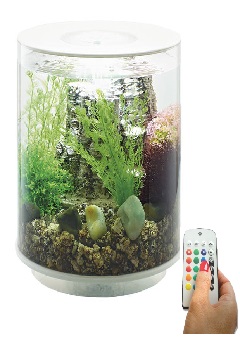 Купить Аквариум TUBE 15 MCR белый ps0601010, Аквариумы в Poolsonia. Доставка, гарантия. Украина, Киев, Харьков, Днепр, Одесса, Запорожье, Львов. Аквариум TUBE 15 MCR белый ps0601010 Аквариумы в POOLSONIA. Тел: +38 (093) 667 00 03. Доставка, гарантия, лучшие цены!