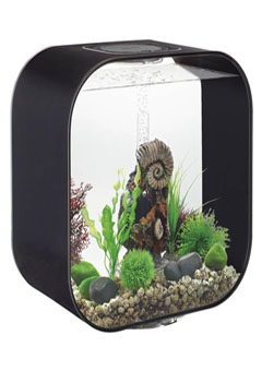 Купить Аквариум LIFE 15 MCR черный ps0601022, Аквариумы в Poolsonia. Доставка, гарантия. Украина, Киев, Харьков, Днепр, Одесса, Запорожье, Львов. Аквариум LIFE 15 MCR черный ps0601022 Аквариумы в POOLSONIA. Тел: +38 (093) 667 00 03. Доставка, гарантия, лучшие цены!