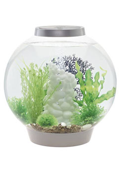 Купить Аквариум CLASSIC 30 LED Thermo серебристый (ps0601068), Аквариумы в Poolsonia. Доставка, гарантия. Украина, Киев, Харьков, Днепр, Одесса, Запорожье, Львов. Аквариум CLASSIC 30 LED Thermo серебристый (ps0601068) Аквариумы в POOLSONIA. Тел: +38 (093) 667 00 03. Доставка, гарантия, лучшие цены!