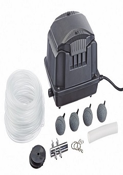 Купить Аэратор Pontec PondoAir Set 1800(ps0401010), Аксессуары по уходу за прудом и водоёмом в Poolsonia. Доставка, гарантия. Украина, Киев, Харьков, Днепр, Одесса, Запорожье, Львов. Аэратор Pontec PondoAir Set 1800(ps0401010) Аксессуары по уходу за прудом и водоёмом в POOLSONIA. Тел: +38 (093) 667 00 03. Доставка, гарантия, лучшие цены!