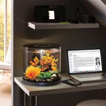 Аквариум TUBE 35 LED черный (ps0601004) Аквариумы в POOLSONIA. Тел: +38 (093) 667 00 03. Доставка, гарантия, лучшие цены!