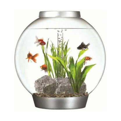 Аквариум CLASSIC 60 LED Thermo серебристый (ps0601059) Аквариумы в POOLSONIA. Тел: +38 (093) 667 00 03. Доставка, гарантія, кращі ціни!