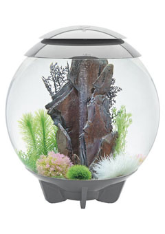 Купить Аквариум HALO 60 LED серый ps0601030, Аквариумы в Poolsonia. Доставка, гарантия. Украина, Киев, Харьков, Днепр, Одесса, Запорожье, Львов. Аквариум HALO 60 LED серый ps0601030 Аквариумы в POOLSONIA. Тел: +38 (093) 667 00 03. Доставка, гарантия, лучшие цены!